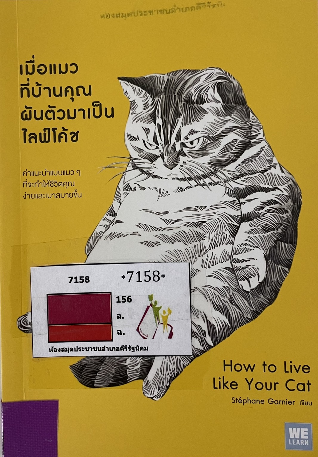 เมื่อแมวที่บ้านคุณผันตัวมาเป็นไลฟ์โค้ช