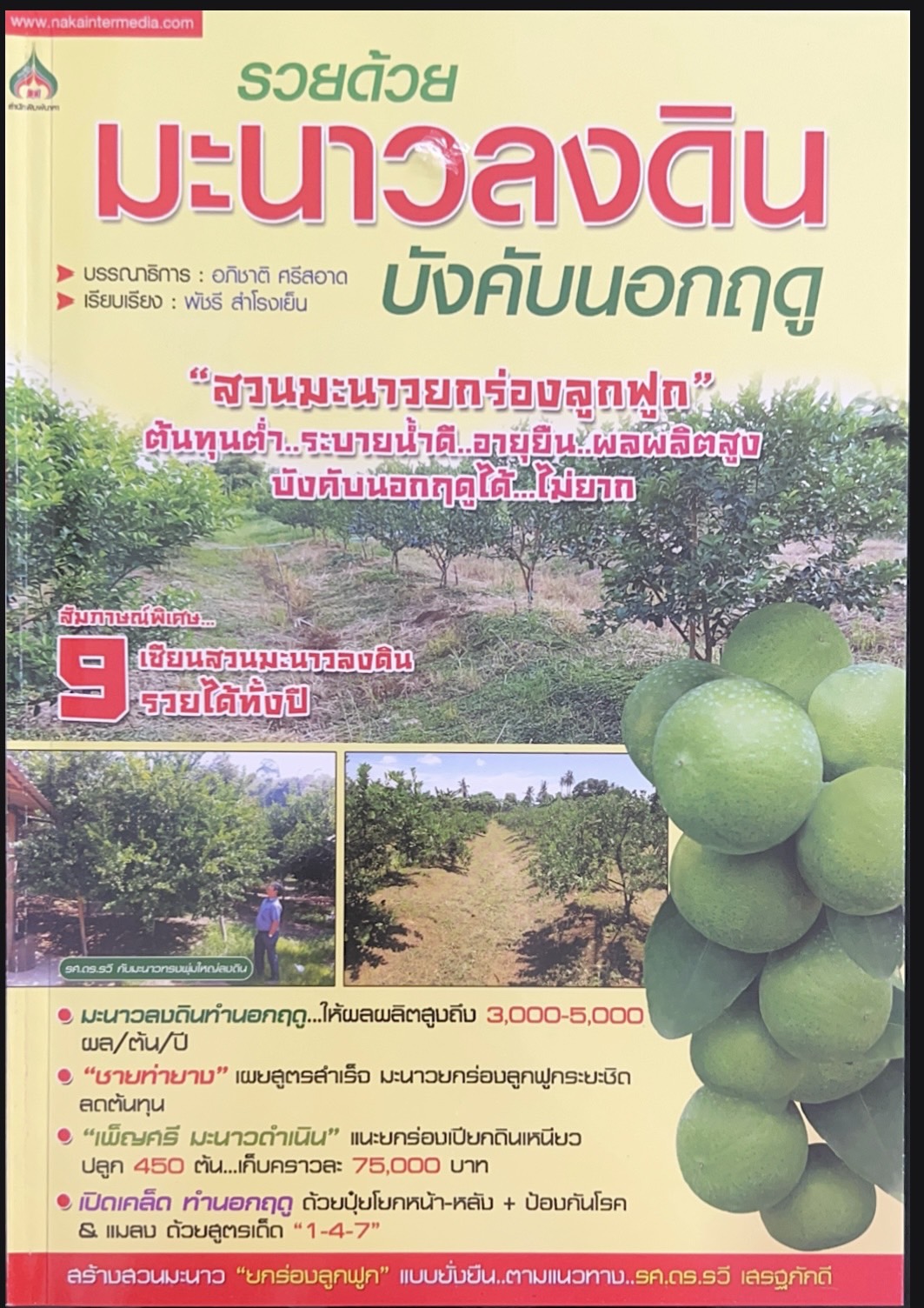 รวยด้วยมะนาวลงดินบังคับนอกฤดู